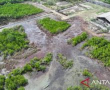 Lahan Pesisir Pantai di Pamekasan Dimiliki Budiono, Dibangun Hotel, Dealer Mobil - JPNN.com