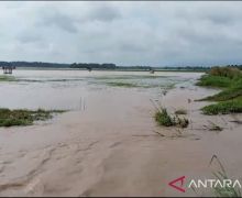 Ribuan Hektare Sawah Milik Warga di Lampung Selatan Terendam Banjir - JPNN.com