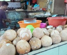 Pasokan Kelapa Menipis, Pedagang di Jakarta Terimpit Kenaikan Harga - JPNN.com