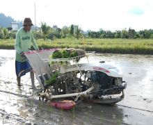 Tokoh Pemuda Papua Gifli Buiney Dukung Program Ketahanan Pangan Nasional - JPNN.com