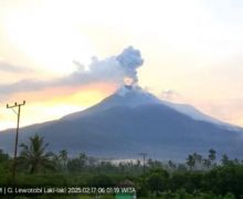 Gunung Lewotobi Laki-laki Erupsi Lagi, Lontarkan Abu Setinggi 900 Meter - JPNN.com