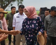 Kementan Tinjau Lokasi Climate Smart Agriculture di Subang - JPNN.com