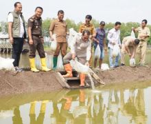 Ribuan Benih Bandeng Ditebar di Pasuruan Untuk Dukung Ketahanan Pangan - JPNN.com