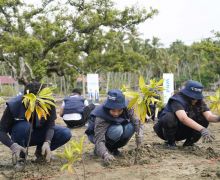 Hijaukan Pesisir, PNM dan Sukarelawan BUMN Tanam 1.000 Mangrove - JPNN.com