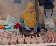 Menjelang Ramadan 2025, Harga Ayam Potong di Palembang Merangkak Naik - JPNN.com