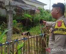 Rebutan Tanah Warisan, Adik Bunuh Kakak Kandung - JPNN.com