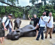 Menhut Apresiasi Kisah Sukses Transformasi Pelestarian Alam di Tangkahan - JPNN.com