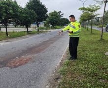 Lawan Arus, Pemuda Tewas Mengenaskan di Jalan Soekarno-Hatta Pekanbaru - JPNN.com