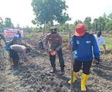 Dukung Ketahanan Pangan, Polisi dan SRPO Tanam Jagung di Dumai - JPNN.com