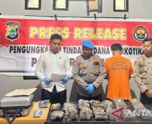 Bawa 2,2 Kg Ganja, Orang Ini Ditangkap Polisi, Ada yang Kenal? - JPNN.com