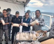 Bakamla Menggagalkan Penyelundupan Benih Lobster di Perairan Kepulauan Seribu - JPNN.com