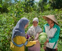 PT STM Pacu Pertanian Organik Perusahaan, Hasil Panen Petani Melimpah - JPNN.com