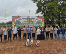 Gandeng Polri, PalmCo Optimalkan Lahan Replanting Sawit untuk Tanam Jagung - JPNN.com