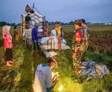 Serapan Gabah Tembus 300 Ribu Ton, Bulog Siap Hadapi Panen Raya 2025 - JPNN.com