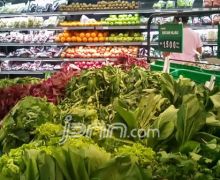 Konsumsi Sayur Mentah Baik Untuk Pencernaan? - JPNN.com