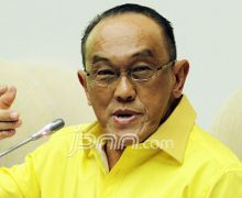 Aburizal Bakrie Dukung TNI-Polri Menindak Tegas OPM - JPNN.com
