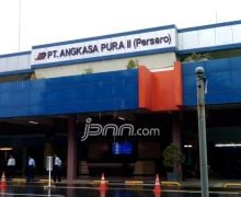 Puncak Arus Balik, Penumpang Pesawat di 20 Bandara AP II Capai 309.477 Orang - JPNN.com