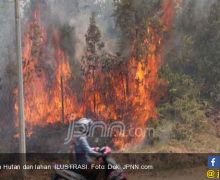 FSC: Korindo Tidak Melakukan Pembakaran Hutan - JPNN.com