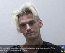 Aaron Carter Meninggal Dunia, Ditemukan Sudah Tak Bernyawa di Kamar Mandi - JPNN.com