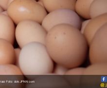 Polri Kejar Penyebar Hoaks Telur Palsu - JPNN.com