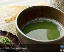 Jaga Kesehatan Payudara dengan Mengonsumsi 9 Makanan dan Minuman Ini - JPNN.com