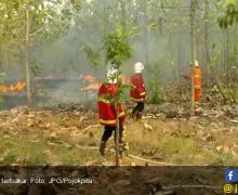 Kebakaran Hutan Jati Makin Meluas, Jadi 20 Hektar - JPNN.com