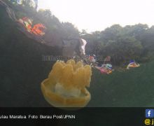 8 Objek Wisata Berau Cantiknya Kebangetan (4/habis) - JPNN.com