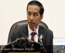 Presiden Jokowi Tanyakan Perkembangan Batam - JPNN.com