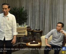 Jokowi Punya Reputasi, Semoga Berhitung soal Efek Negatif Politik Dinasti - JPNN.com