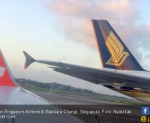 Media Singapura Soroti Pengaruh Perjanjian FIR dengan Layanan di Bandara Changi - JPNN.com
