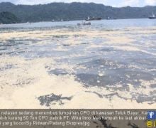 Tangki CPO Bocor ke Laut, Izin PT WIM Terancam Dibekukan DLH - JPNN.com