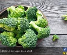 7 Manfaat Brokoli, Bikin Deretan Penyakit Ini Ogah Mendekat - JPNN.com