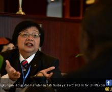 Menteri Siti Apresiasi Putusan PTUN soal RAPP - JPNN.com
