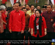 Jokowi Berambisi Gantikan Megawati, Andreas PDIP: Bukan Hal Mengejutkan - JPNN.com