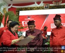 PDIP Usung Petahana di Pilgub Riau 2018 - JPNN.com