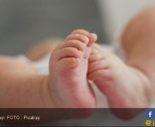 Bayi yang Dibuang di Toilet Pesawat Belum Dimakamkan - JPNN.com