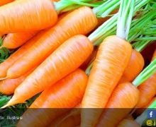 Usir Kolesterol Jahat dengan Mengonsumsi 5 Jenis Sayuran Ini - JPNN.com