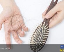 8 Bahan Alami yang Bisa Atasi Rambut Rontok - JPNN.com