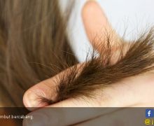 Ladies, Atasi Rambut Kering dengan 5 Bahan Alami Ini - JPNN.com
