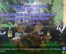 67 Badak Jawa Terpantau di Taman Nasional Ujung Kulon - JPNN.com