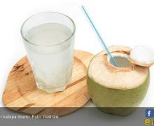 4 Khasiat Rutin Minum Air Kelapa untuk Menurunkan Berat Badan - JPNN.com
