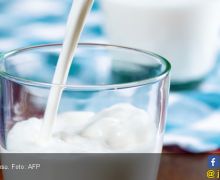 Butuh Perpres untuk Mengatur Industri Susu Segar Nasional - JPNN.com