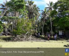 6 Tempat Wisata Menyenangkan di Ujung Kulon (1) - JPNN.com