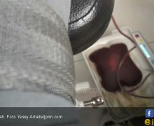 Stok Darah Melimpah di HUT RI ke 73 - JPNN.com