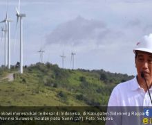 SYL Terharu Melihat Jokowi Resmikan PLTB Sidrap - JPNN.com