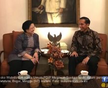 Jokowi dan Mega Sepakati Cawapres, Tunggu Saja Pengumumannya - JPNN.com