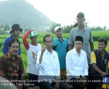 TGB Mantap Dukung Jokowi Tuntaskan Dua Periode - JPNN.com