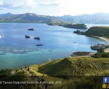 Pulau Cantik Gili Lawa di TN Komodo Hangus Terbakar - JPNN.com