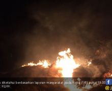 Menteri Siti Nurbaya: Usut Tuntas Kebakaran di Gili Lawa - JPNN.com