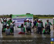 Bekasi Fajar Industrial Estate Tanam 12 Ribu Pohon Mangrove - JPNN.com